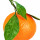 Mandalina